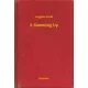 Virginia Woolf - A Summing Up (e-könyv)