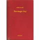 Edith Nesbit - The Magic City (e-könyv)