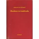 Robert Ervin Howard - Shadows in Zamboula (e-könyv)