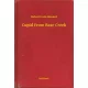 Robert Ervin Howard - Cupid From Bear Creek (e-könyv)