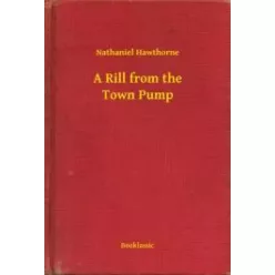 Nathaniel Hawthorne - A Rill from the Town Pump (e-könyv)