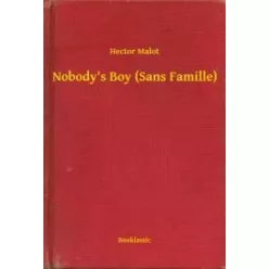 Hector Malot - Nobody's Boy (Sans Famille) (e-könyv)