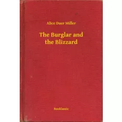 Alice Duer Miller - The Burglar and the Blizzard (e-könyv)