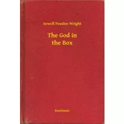 Sewell Peaslee Wright - The God in the Box (e-könyv)