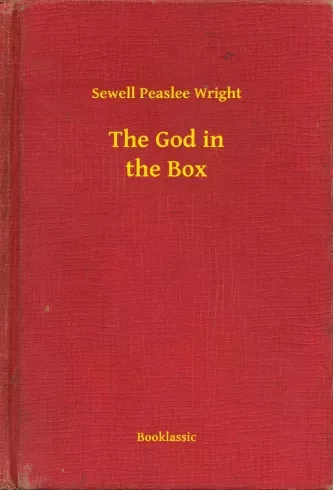 Sewell Peaslee Wright - The God in the Box (e-könyv)