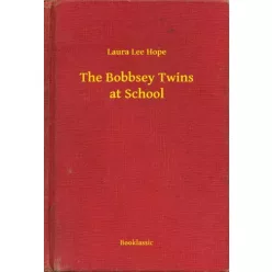 Laura Lee Hope - The Bobbsey Twins at School (e-könyv)