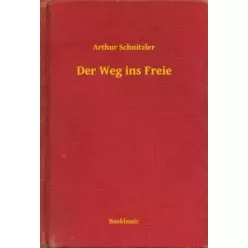 Arthur Schnitzler - Der Weg ins Freie (e-könyv)