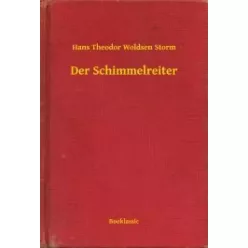 Hans Theodor Woldsen Storm - Der Schimmelreiter (e-könyv)