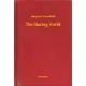 Margaret Cavendish - The Blazing World (e-könyv)