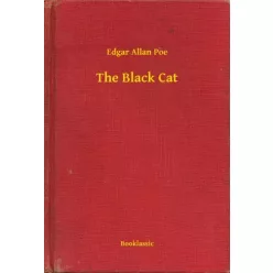 Edgar Allan Poe - The Black Cat (e-könyv)