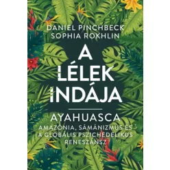   Daniel Pinchbeck, Sophia Rokhlin - A Lélek Indája (e-könyv)