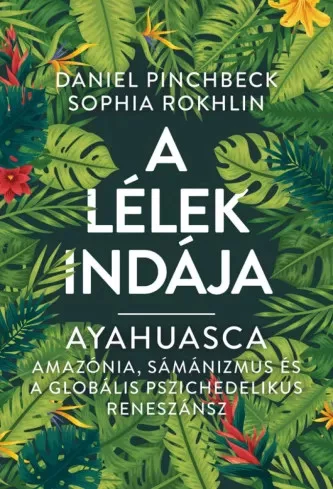 Daniel Pinchbeck, Sophia Rokhlin - A Lélek Indája (e-könyv)