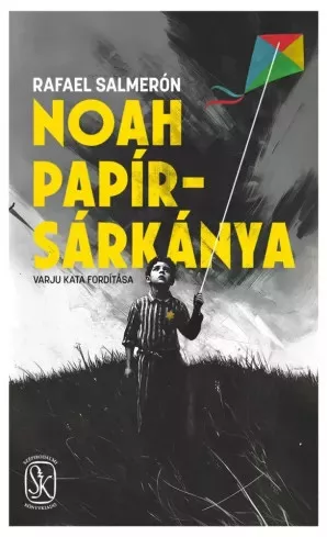 Rafael Salmerón - Noah papírsárkánya (e-könyv)