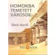 Stein Aurél - Homokba temetett városok (e-könyv)