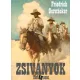 Friedrich Gerstacker - Zsiványok (e-könyv)
