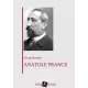 Georg Brandes - Anatole France (e-könyv)