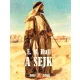 E.M. Hull - A sejk (e-könyv)