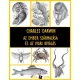 Charles Darwin - Az ember származása és az ivari kiválás (e-könyv)