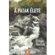 Élisée Reclus - A patak élete (e-könyv)