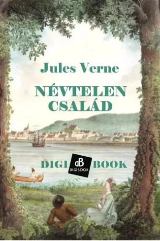 Jules Verne - Névtelen család (e-könyv)