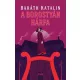 Baráth Katalin - A borostyán hárfa (e-könyv)