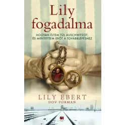 Dov Forman, Lily Ebert - Lily fogadalma (e-könyv)
