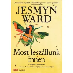 Jesmyn Ward - Most leszállunk innen (e-könyv)