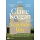 Claire Keegan - A csendes lány (e-könyv)