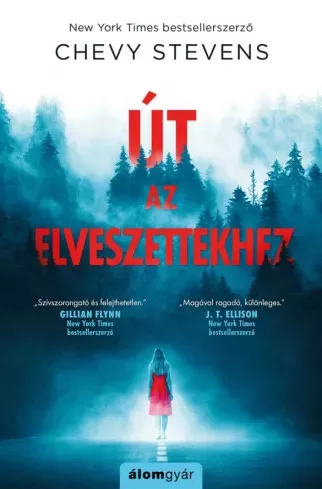 Chevy Stevens - Út az elveszettekhez (e-könyv)