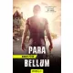 Bihary Péter - Para bellum (e-könyv)