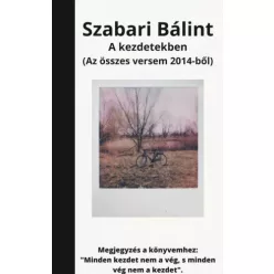 Szabari Bálint - A Kezdetekben (e-könyv)
