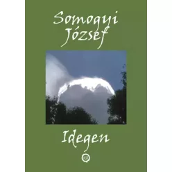 Somogyi József - Idegen (e-könyv)