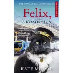 Kate Moore - Felix, a közös cica (e-könyv)