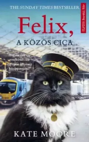 Kate Moore - Felix, a közös cica (e-könyv)