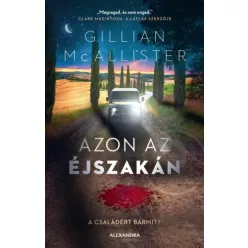 Gillian McAllister - Azon az éjszakán (e-könyv)