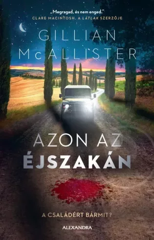 Gillian McAllister - Azon az éjszakán (e-könyv)