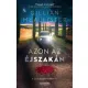 Gillian McAllister - Azon az éjszakán (e-könyv)