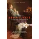 Kertész Róbert - Semmelweis (e-könyv)
