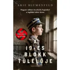 Arie Blumenfeld - A 19-es blokk túlélője (e-könyv)