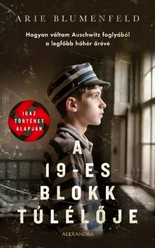Arie Blumenfeld - A 19-es blokk túlélője (e-könyv)