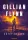 Gillian Flynn - Sötét helyek (e-könyv)