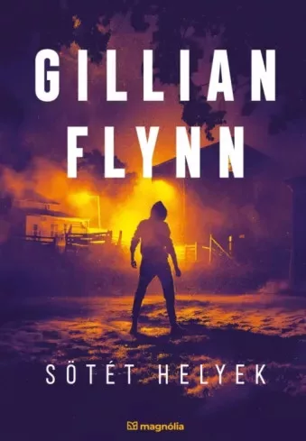 Gillian Flynn - Sötét helyek (e-könyv)