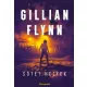 Gillian Flynn - Sötét helyek (e-könyv)