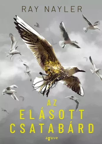 Ray Nayler - Az elásott csatabárd (e-könyv)
