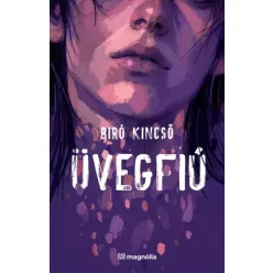 Biró Kincső - Üvegfiú (e-könyv)