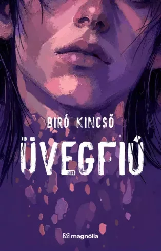 Biró Kincső - Üvegfiú (e-könyv)