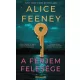 Alice Feeney - A férjem felesége (e-könyv)