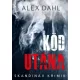 Alex Dahl - Köd utána (e-könyv)
