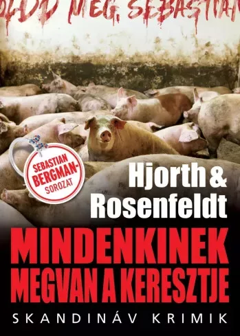 Hans Rosenfeldt, Michael Hjorth - Mindenkinek megvan a keresztje (e-könyv)