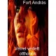 Fort András - Vérrel védett otthonok (e-könyv)